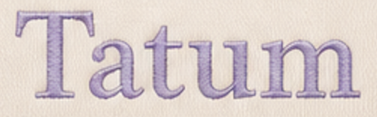 Embroidered Striped Pouch